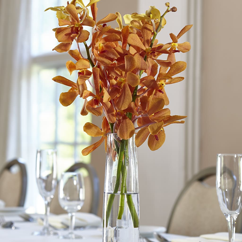 Orange Mokara Bud Vase – MARAVILLA'S FLOWER SHOP, Sacramento CA