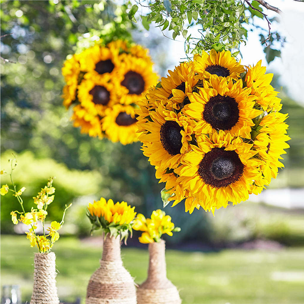 Sublime Garden Hanging Arrangement – MARAVILLA'S FLOWER SHOP, Sacramento CA