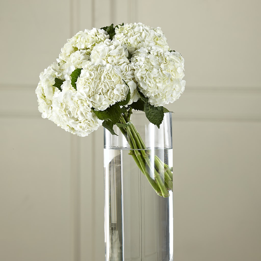 White Hydrangea Hand-Tied Bouquet – MARAVILLA'S FLOWER SHOP, Sacramento CA