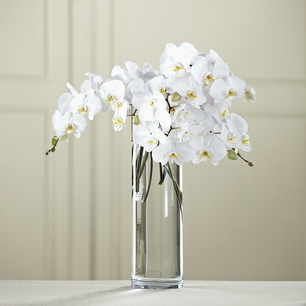 White Phalaenopsis Bouquet – MARAVILLA'S FLOWER SHOP, Sacramento CA