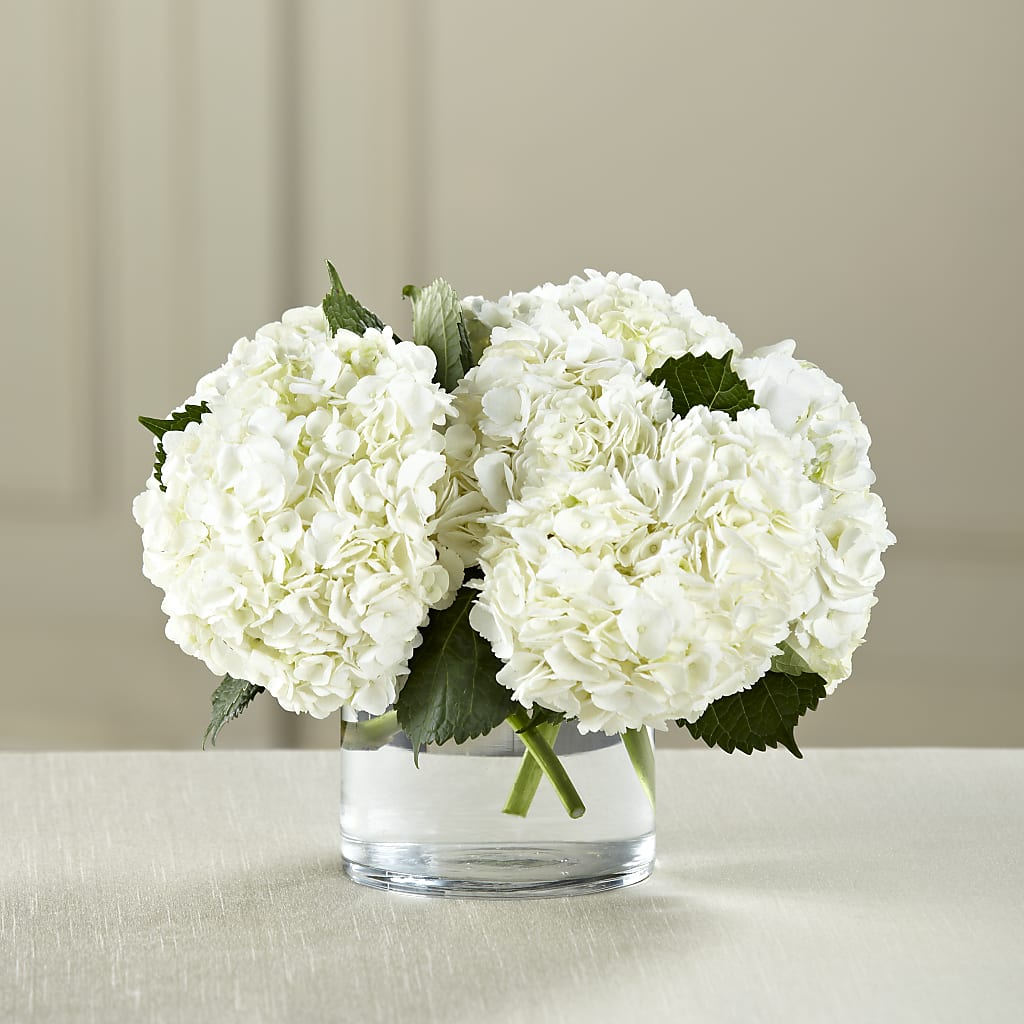 White Hydrangea Bouquet – MARAVILLA'S FLOWER SHOP, Sacramento CA