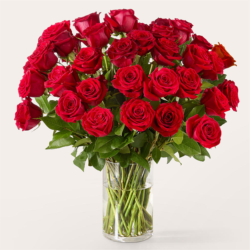 The One Red Rose Bouquet – MARAVILLA'S FLOWER SHOP, Sacramento CA