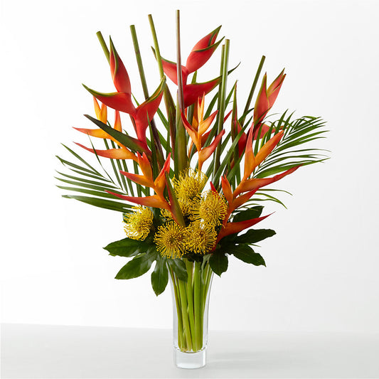The Drama – MARAVILLA'S FLOWER SHOP, Sacramento CA