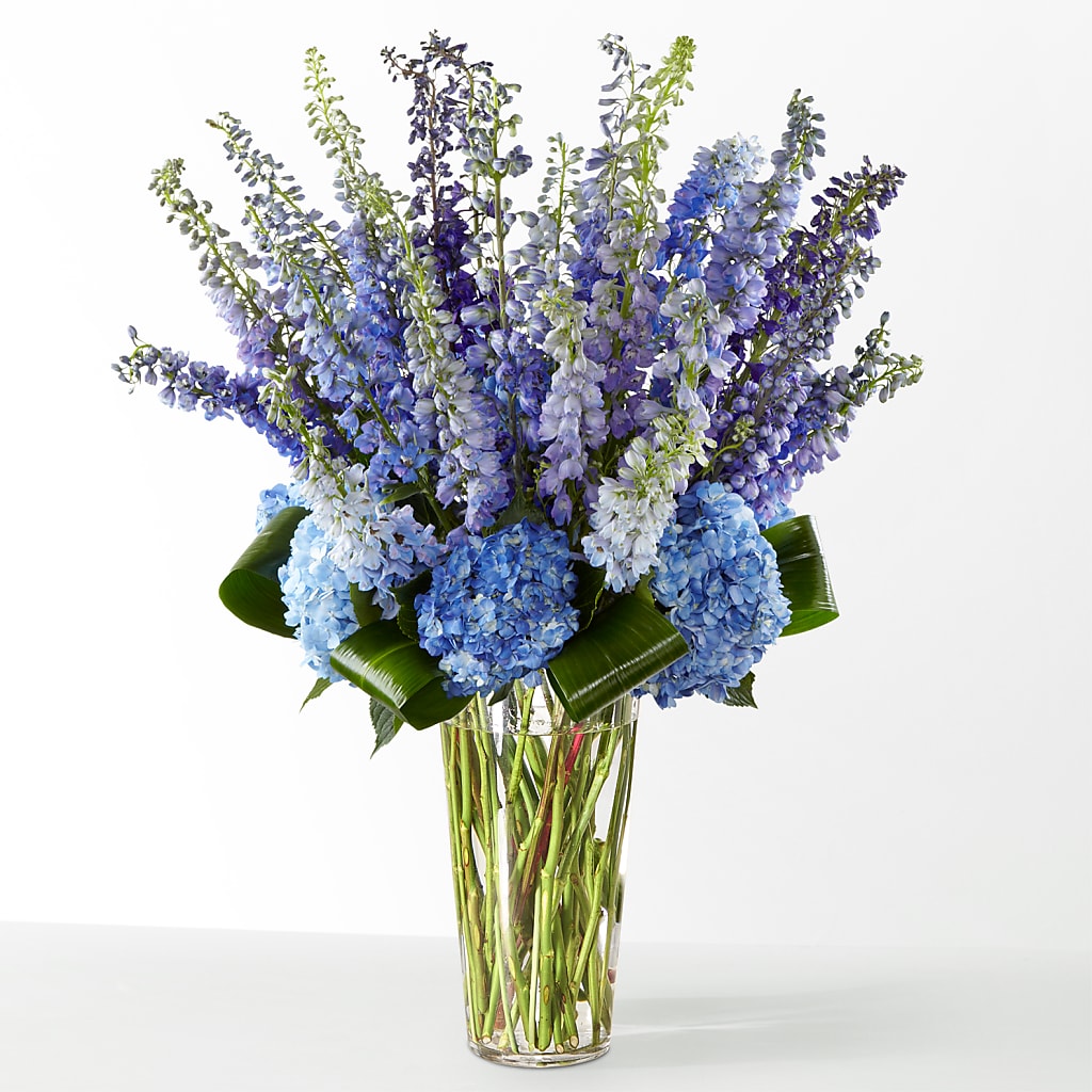 The Editorial – MARAVILLA'S FLOWER SHOP, Sacramento CA