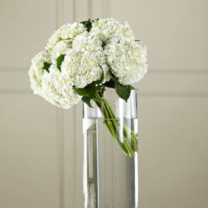 White Hydrangea Hand-Tied Bouquet – MARAVILLA'S FLOWER SHOP, Sacramento CA